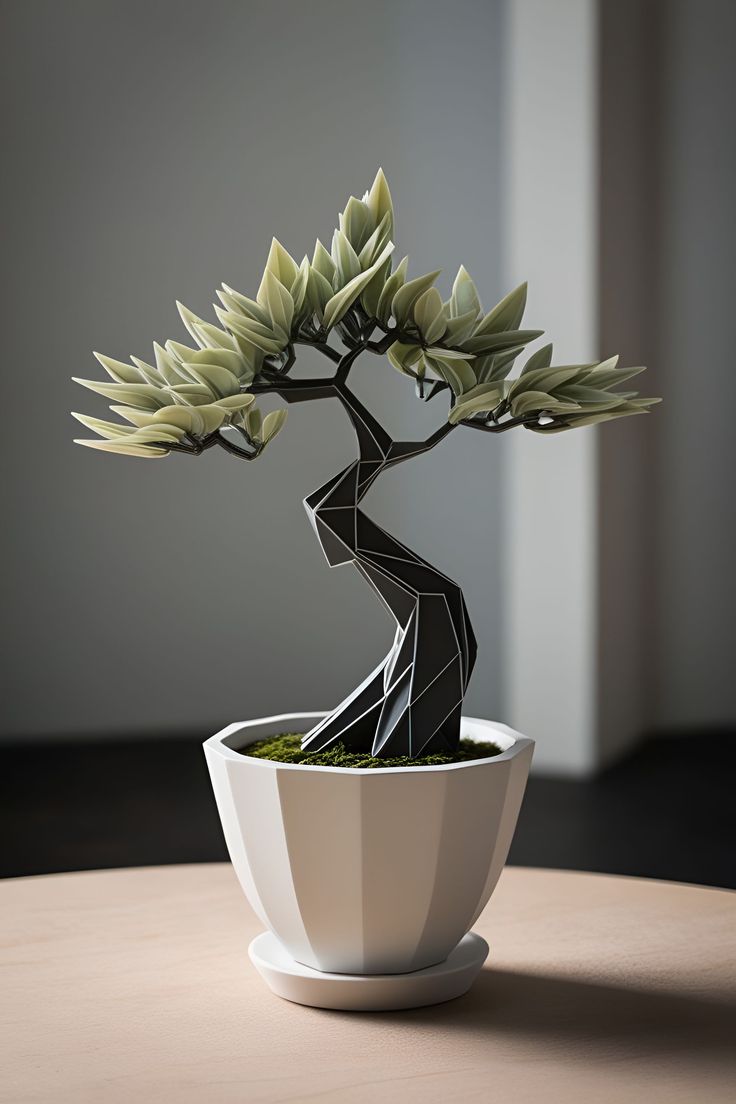 Bonsai geométrico moderno